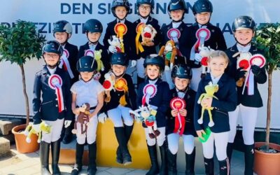 Reitverein Babenhausen Reportage Teil 1