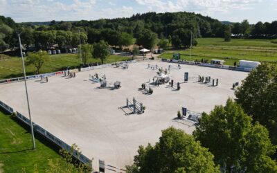 Wie Babenhausen zum Pferdezentrum wurde